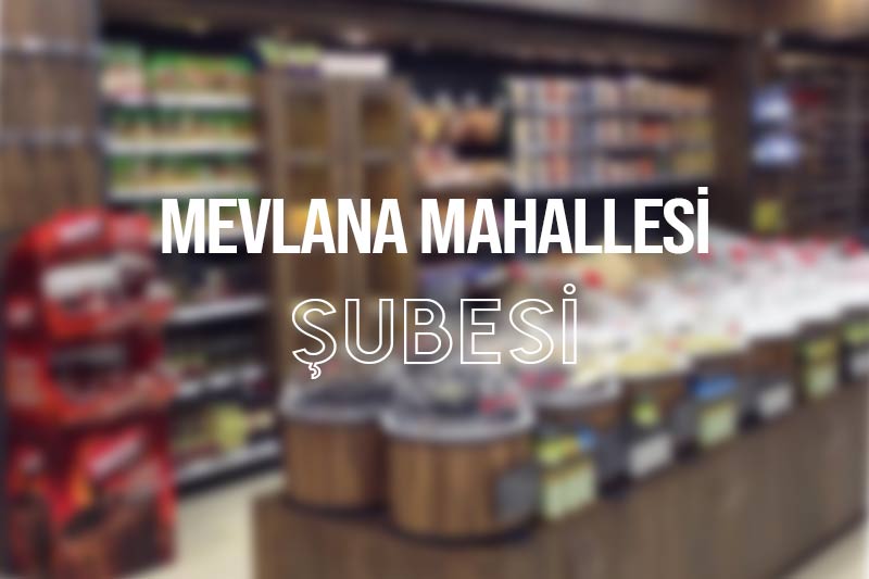 Mevlana Mahallesi Şubesi
